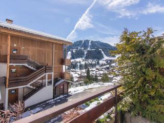 Appartement confortable à La Clusaz - 6 pers, Wifi, parking, proche pistes - FR-1-818-14 - La Clusaz - 3