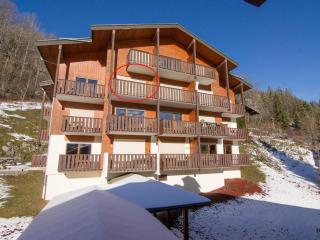 Confortable studio à La Clusaz, 4 pers, WIFI, balcon sud - FR-1-818-101 - La Clusaz - 1