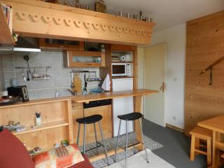 Confort aux 7 Laux: 6 pers, proche pistes, balcon - FR-1-557A-58 - - 0