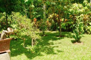 Artja Inn - Ubud - 4