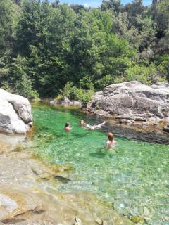Chalet charmant à Saint-Jean-du-Gard - 1