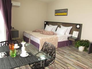 Hotel Hello Hissar - Hisarya - 7
