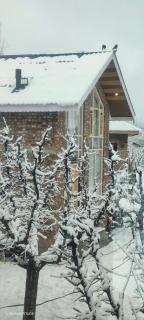Countryside Cottage Gulmarg - 3