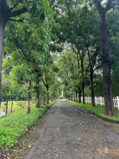 Ivy Bliss Studio with Private Pool, B 13, Karjat - 2