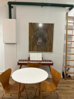 Lovely flat in Highbury & Islington London - Londra - 3