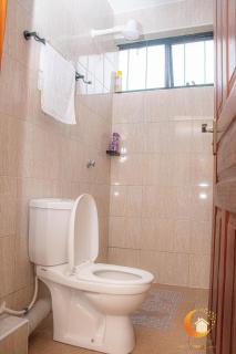 Dreamy Deluxe Furnished Apartment - 3