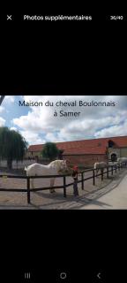 Appartement 57 m2 proche plage et Nausicaa - Boulogne-sur-Mer - 3