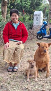 Inpai Resort อินปายรีสอร์ท - 5