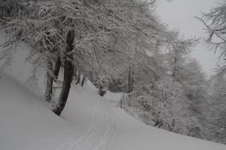 Chaberton & wood view - 5
