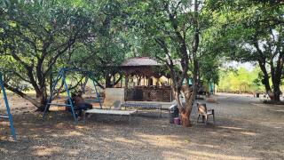 The Gir View Resort - - 1