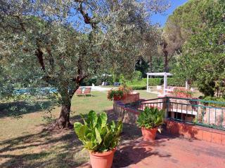 La Casa di Agata Deluxe - Fucecchio - 5