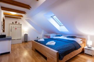 Apartmanica Fairy Tale, JASNÁ - SKI TÁLE- MÝTO POD ĎUMBIEROM, 3 apartments in 1 house, fireplace, free parking - Horná Lehota - 9