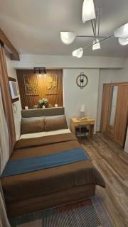 Bacolod Studio Condo Unit - 6