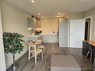 Luxury One Bedroom Flat with Balcony - Londra - 5