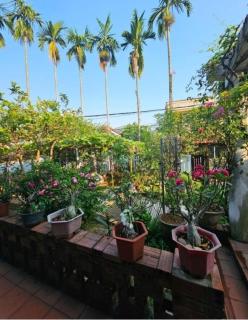 Rose Homestay Hue - 1