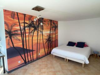 Villa 13 personnes avec piscine à débordement - Rocbaron - 2