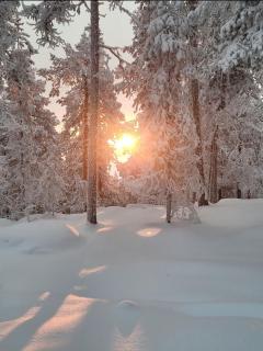 Mökki Kemijärvellä - Ämmälä - 6