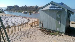 Sea Shack - 9