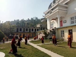 Nunnery Homestay - Dharampur - 2