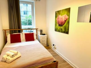 Entire Two Bedroom Central London 5 mins to Metro - 4