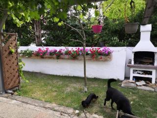Comfortable, family-friendly and top located - Guntramsdorf - 7