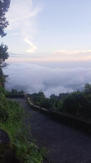 The Pine Of Golden Home Stay - Mussoorie - 5