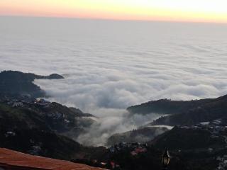 The Pine Of Golden Home Stay - Mussoorie - 3