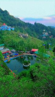 The Pine Of Golden Home Stay - Mussoorie - 1