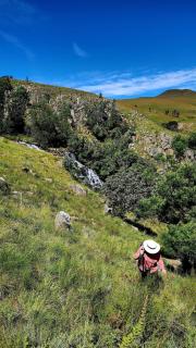 Farm Retreat in the Mountains - 4