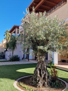 Casa Toni, Villasimius - Villasimius - 3