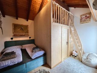 Chalet Bergdoktor - Amden - 1