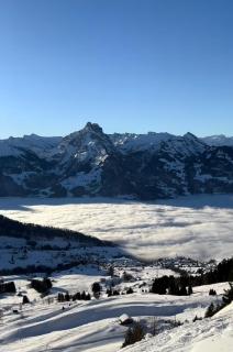 Chalet Bergdoktor - Amden - 9