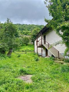 WarmSoul Guesthouse Dilijan - Dilijan - 1