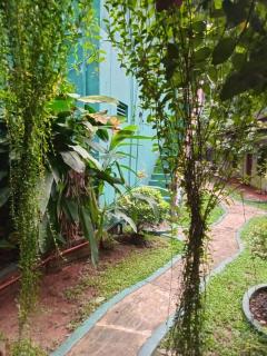 Mango Tree Hut udawalawe - 1