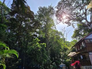 Cool Waters Jungle Villas - Uvita - 6