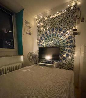 Ruheoase im Herzen von München - 7