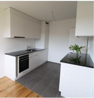 Green Basel Home - Binningen - 9