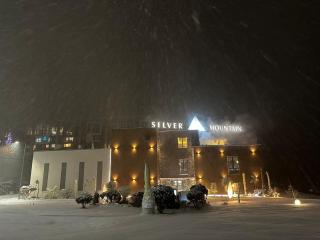 Fabulous Views Silver Mountain 3 Rooms Apartment - Poiana Brasov - 5