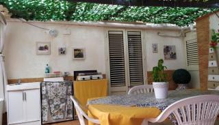 New Island - Isola delle Femmine - 4