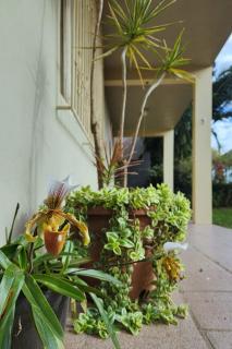 Casa aconchego, espaçosa e bem localizada - 8