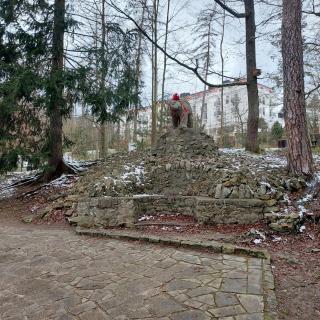 W KORONACH DRZEW Apartamenty Polanica-Zdrój - Polanica-Zdrój - 7
