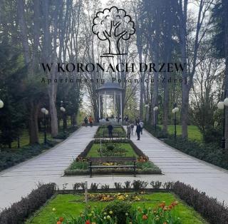 W KORONACH DRZEW Apartamenty Polanica-Zdrój - 4