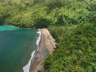 Casa Ola, luxurious jungle house - El Valle - 6