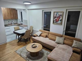 Luxury Vlae Apartaments - Skopje - 9