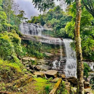 Dilusha Home Stay - 4