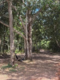 Rancho do Guila Pesca & Diversão Corumbá 3 - Abadiânia - 3