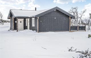 Beautiful Home In Engerdal With Kitchen - - 1