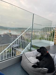 Nant Llys - Spectacularly placed with sea views - New Quay - 8