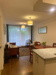 Departamento en Pucón - 1