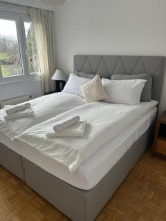 Stunning apartment with lake view - Montreux - 8